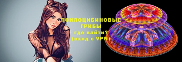 дживик Балахна