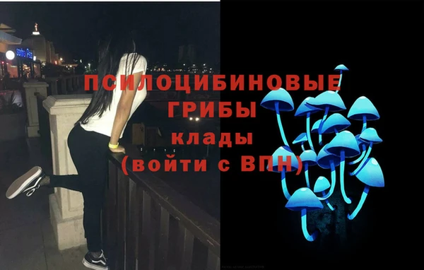 бошки Баксан