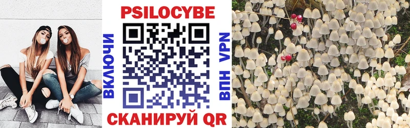 Псилоцибиновые грибы мухоморы  блэк спрут как зайти  Коряжма  цены наркотик 